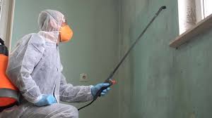 Why You Should Choose Our Mold Remediation Services in Hamilton, MO